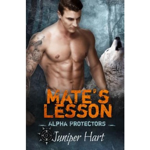 (영문도서) Mate''s Lesson: Alpha Protectors Paperback, Independently Published, English, 9781095700792