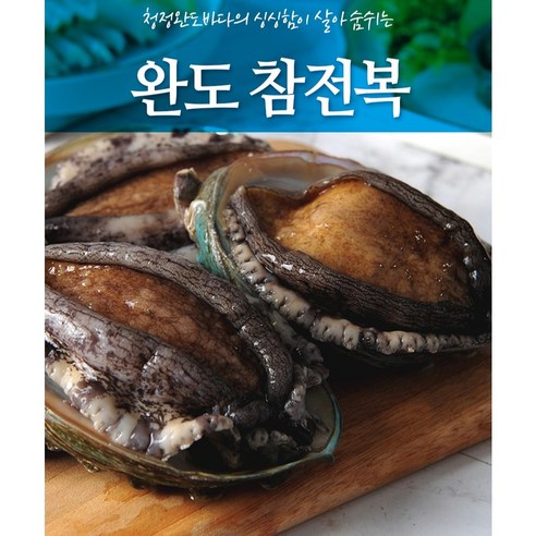 달빛푸른 완도 활전복, 1세트, 1kg(40~60미)