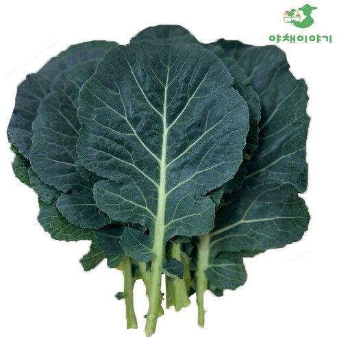 야채이야기 쌈케일 100g 케일 쌈, 1개, 100g