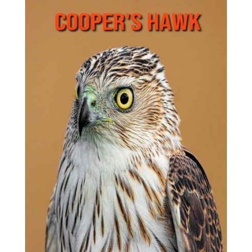 (영문도서) Cooper''s Hawk: Amazing Photos & Fun Facts Book About Cooper''s Hawk For Kids Paperback, Independently Published, English, 9798509235108