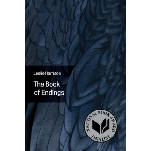 (영문도서) The Book of Endings Paperback, University of Akron Press, English, 9781629220635