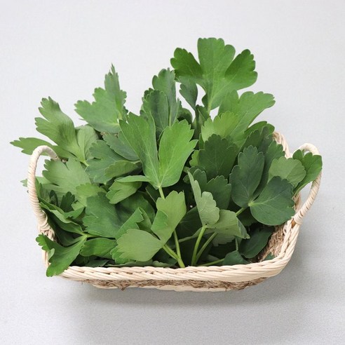 농산물마루 제철 국내산 참나물