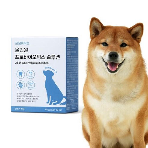 모모하우스 강아지 구강 유산균 영양제 올인원 프로바이오틱스, 단품, 단품, 1개