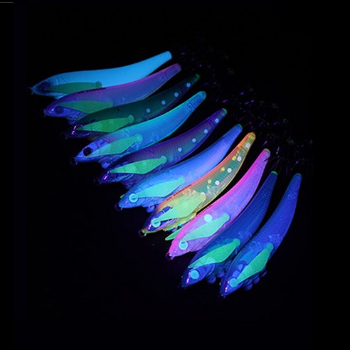 엔초비 에기: 바다의 유혹자를 만나다