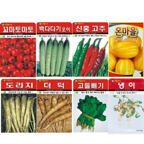 SN월드 씨앗 민속특수씨앗 약초 곰취 냉이 와송 삼채 더덕 도라지 당귀 잔디, 벤트그라스