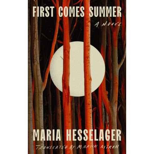 (영문도서) First Comes Summer Hardcover, Riverhead Books