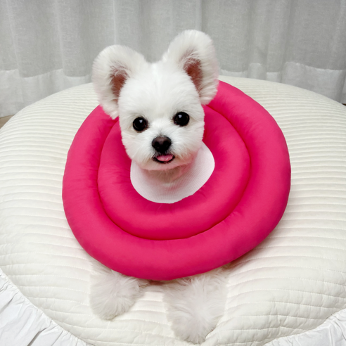리치독스 강아지넥카라 애견 넥카라 고양이 깔대기 원형방수, 핑크, 1개