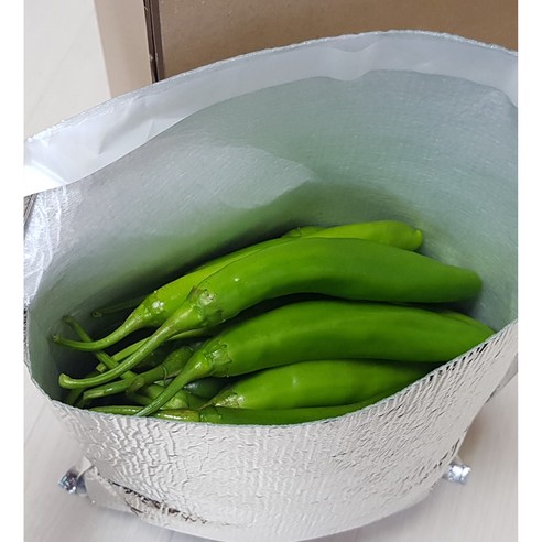 포천 미인풋고추 1kg 당일수확, 1kg(특품, 은박보냉), 1개