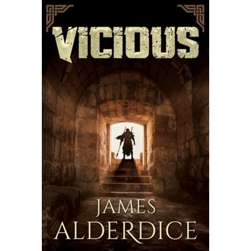Vicious Paperback, Independently Published, English, 9781086236705