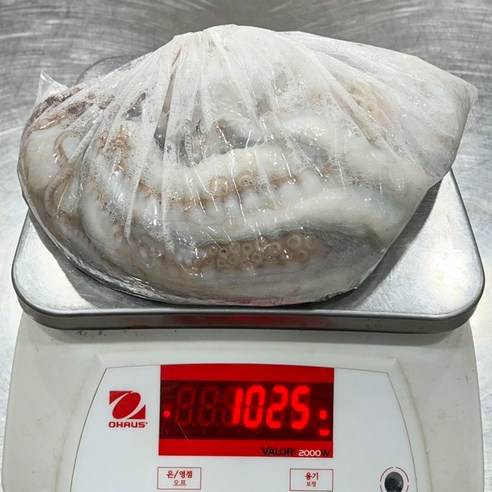 산지직송 통영산 돌문어, 바다의 생생한 맛을 식탁으로