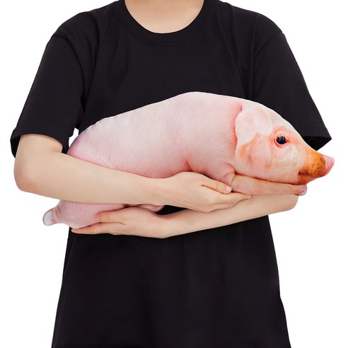 잠 못 드는 밤, 포근한 위로가 필요하다면? 꿀잠 부르는 마법, 굴뚝강아지 쿠션! 굴뚝강아지