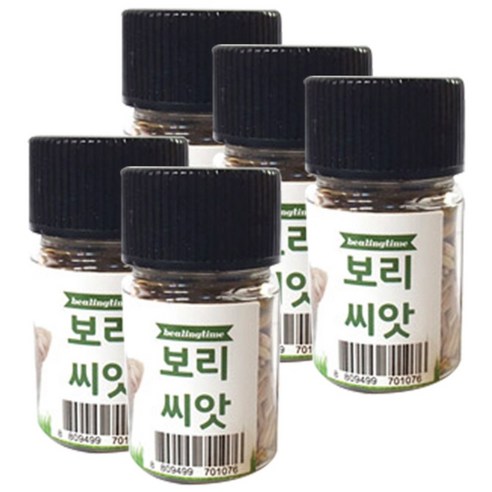 힐링타임 캣그라스 씨앗, 보리, 5개