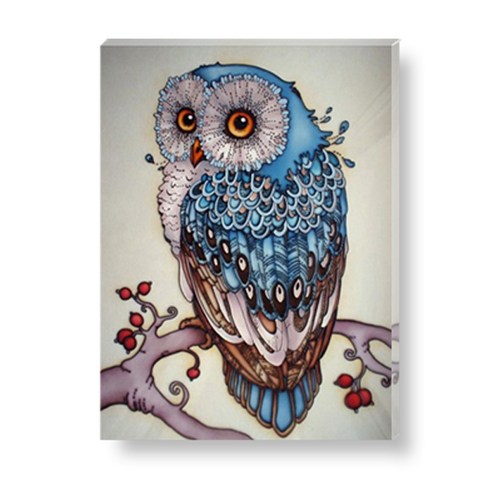 루야스 DIY 보석십자수 캔버스형 액자형 취미생활 40x50cm 1세트, 23_블루 부엉이