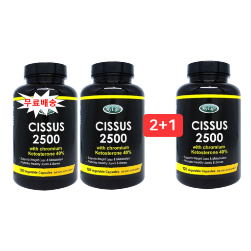 씨서스 다이어트 2500mg 120캡슐 *3병, 총 120정 캐나다시서스 씨서스 다이어트 2500mg 120캡슐 *3병, 총 120정 캐나다시서스