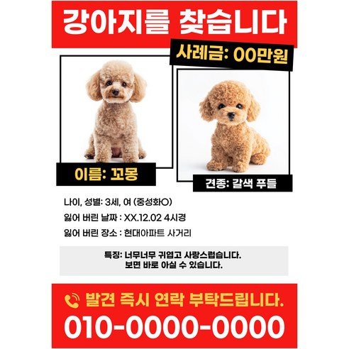 특별한 메시지를 담아, 나만의 전단지로 세상을 매료시키세요.