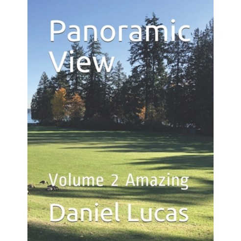 (영문도서) Panoramic View: Volume 2 Amazing Paperback, Independently Published, English, 9798543751879