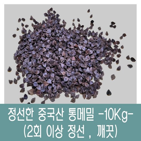 [다온농산] 2022년산 수입 중국산 메밀(통메밀) -10Kg- 정선과정 2회 이상 깨끗, 1개