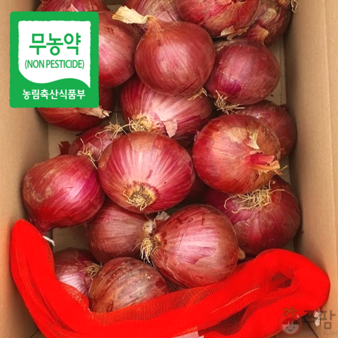 쭈팜 산지직송 무농약 저장양파 자색양파, 적 양파, 1개, 10kg