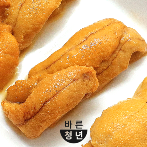 프리미엄 국내산 성게알 우니 100g 1개