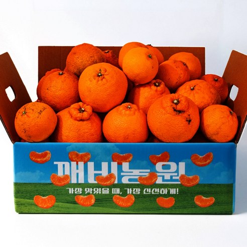 (신선집중) (깨비농원) 어글리 한라봉 4kg 가정용