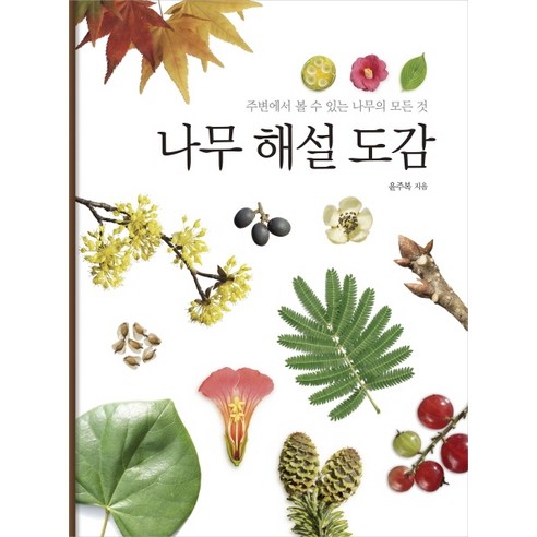 나무 해설 도감:주변에서 볼 수 있는 나무의 모든 것, 진선BOOKS, 윤주복