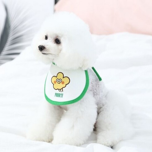 오드스튜디오 반려동물 또또또 UV차단 모자, 껴또(그린)