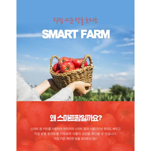 스마트팜 아두이노 제작키트 (방울토마토 키우기), 1세트