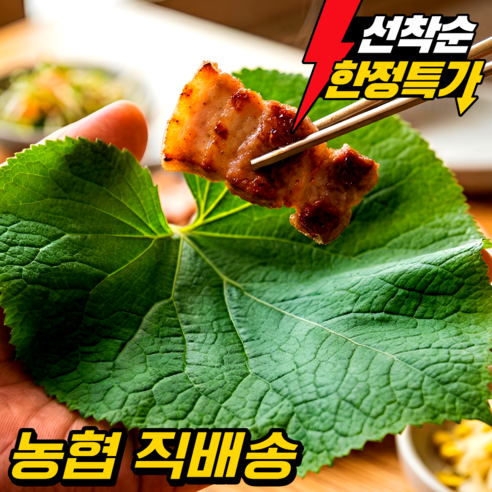 [한정수량 초특가] 강원도 곰취 눈꽃곤달비 곰취나물 당일수확 산지직송
