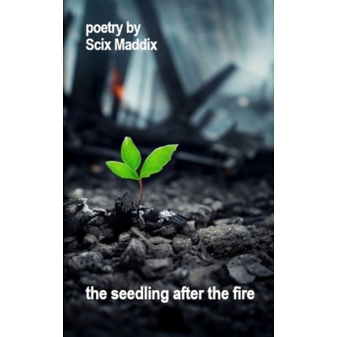 (영문도서) The seedling after the fire Paperback, Lulu.com, English, 9781312178007