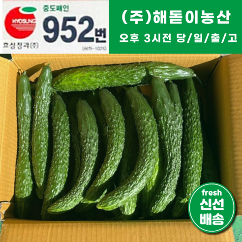 해돋이농산 국내산 오이 가시오이 청오이 못난이오이 3kg 5kg 10kg 내외, 10kg내외, 1개