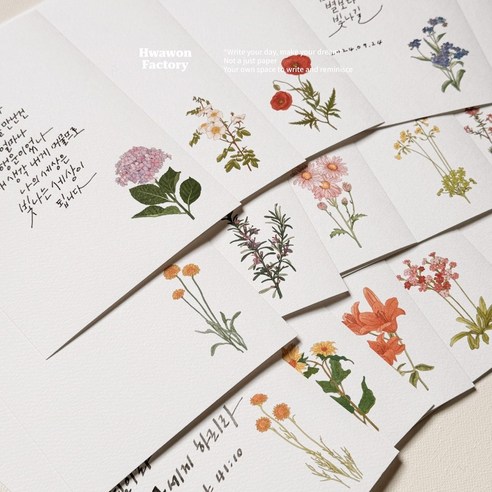 화원팩토리 캘리그라피 꽃 엽서 캘리용 인쇄엽서 20종 - 캘리그라피엽서 | 쿠팡