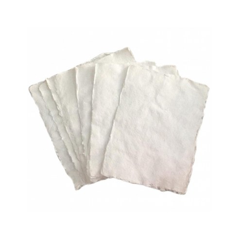 삼원 카디 S2W 코튼페이퍼 세목 320g 560x760mm 10매 / 수채화지