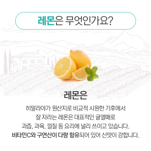 1일1레몬 유기농 레몬 즙: 비타민 C의 풍부한 원천으로 건강과 활력 증진