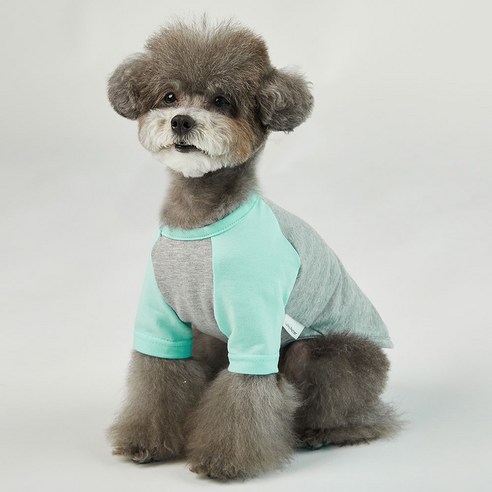 럭키페터 나그랑 강아지 옷 소형견 대형견 티셔츠 실내복 강아지 내복 그레이시리즈, 그레이/민트, 2개