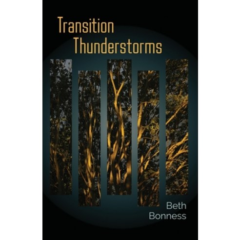 (영문도서) Transition Thunderstorms Paperback, Poetry Box, English, 9781956285079