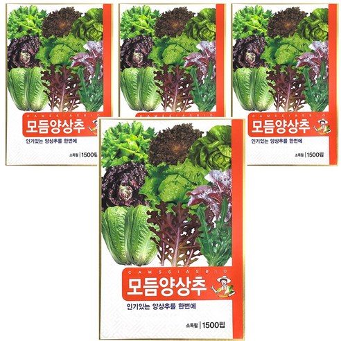 모듬양상추 씨앗, 4개