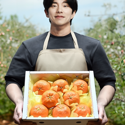 레드향 프리미엄 선물세트 당도선별 산지직송, 1개, 1.5kg(중소과 7-11입)