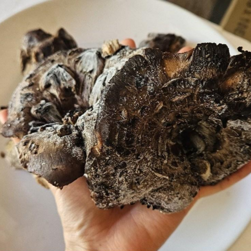 100% 자연산 냉동능이버섯특A급(1KG), 3개