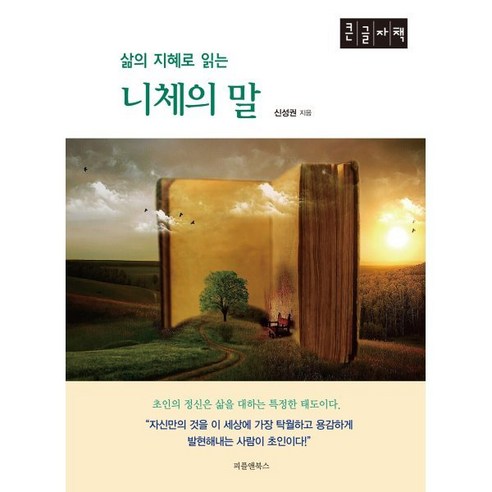 삶의 지혜로 읽는 니체의 말 (큰글자책), 신성권 저, 피플앤북스