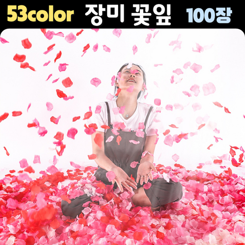 향기로운 장미의 세계에서 달콤함을 만끽하세요.