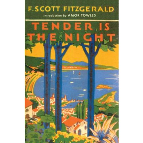 Tender is the Night Paperback, Scribner Book Company