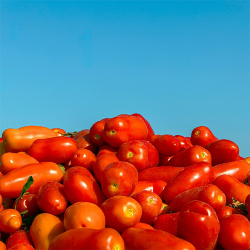 이탈리아의 진정한 맛을 집에서 느껴보세요.