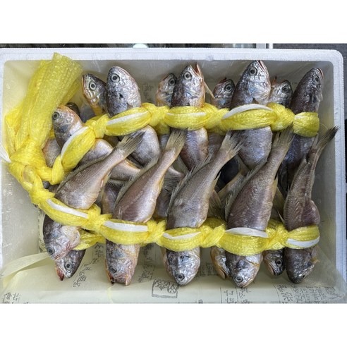 국산 명품 참굴비의 맛과 영양을 즐기세요
