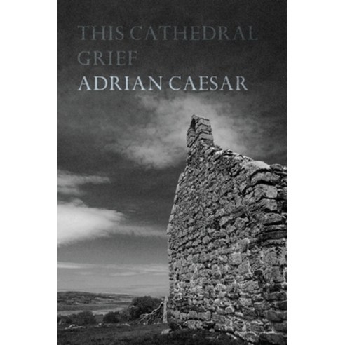 This Cathedral Grief Paperback, Recent Work Press