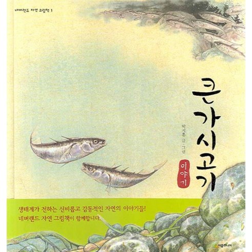 큰가시고기 이야기 (네버랜드 자연 그림책 1) (양장)