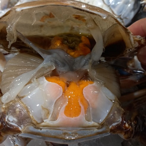 오늘 저녁, 밥도둑 예약! 연평도 암꽃게로 식탁을 풍성하게 만드는 마법