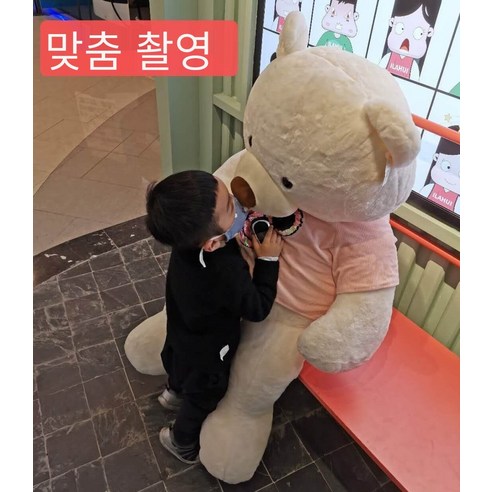 대외 무역 공장 직접 판매 북유럽 간단한 단색 토끼 모피 플러시 베개 국경 뜨거운 판매 홈 침실 베개 커버, 50*50cm 코어, 맞춤형특별주문고객서비스