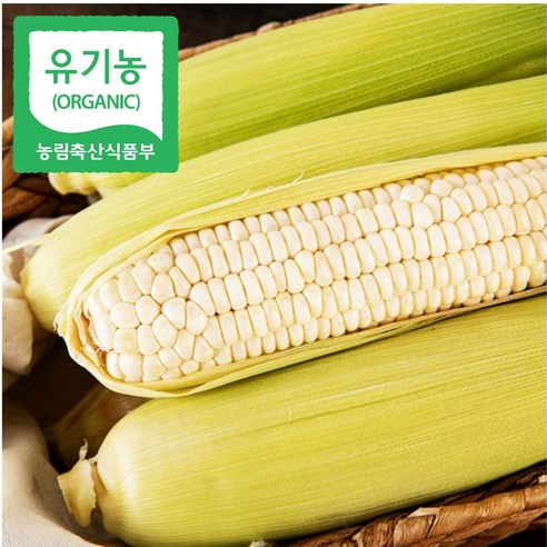 유기농인증 강원도 홍천 미백찰옥수수, 10개