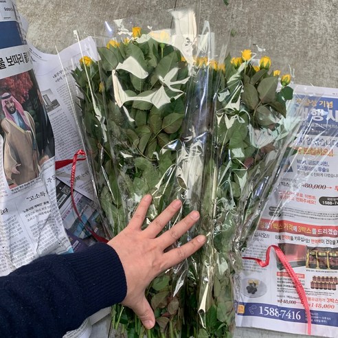 사랑스러운 향기와 아름다움이 조화를 이루는, 모든 행사에 딱 맞는 완벽한 선물