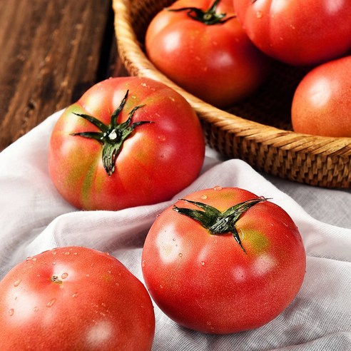 [자연예서] 완숙 토마토 5kg (3번) 빨간 과육 찰토마토